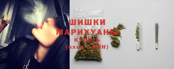 ПСИЛОЦИБИНОВЫЕ ГРИБЫ Козловка