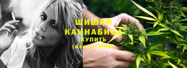 ПСИЛОЦИБИНОВЫЕ ГРИБЫ Козловка