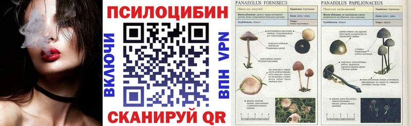 Галлюциногенные грибы GOLDEN TEACHER  Купить где  Геленджик 